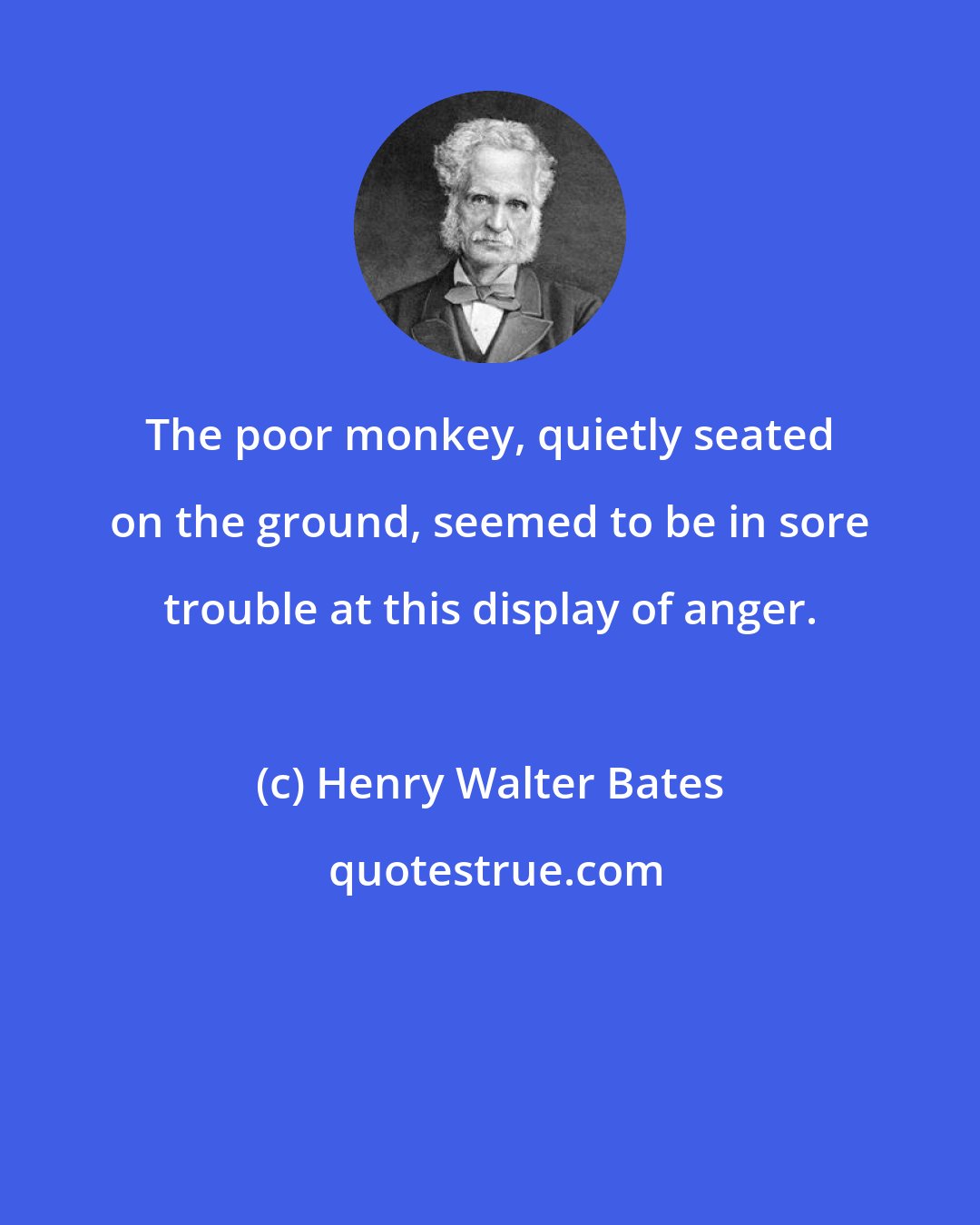 Henry Walter Bates: The poor monkey, quietly seated on the ground, seemed to be in sore trouble at this display of anger.