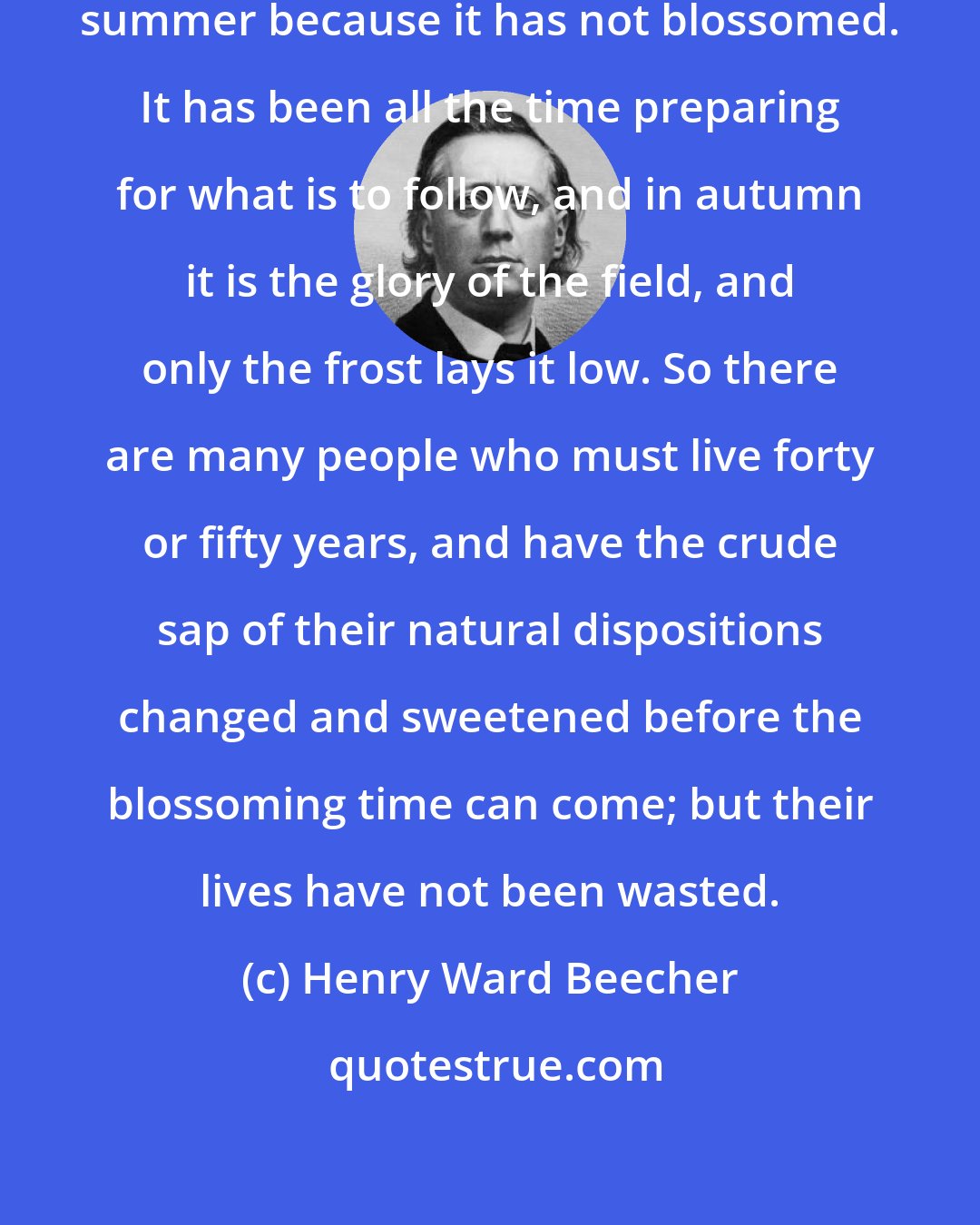Henry Ward Beecher: The aster has not wasted spring and summer because it has not blossomed. It has been all the time preparing for what is to follow, and in autumn it is the glory of the field, and only the frost lays it low. So there are many people who must live forty or fifty years, and have the crude sap of their natural dispositions changed and sweetened before the blossoming time can come; but their lives have not been wasted.