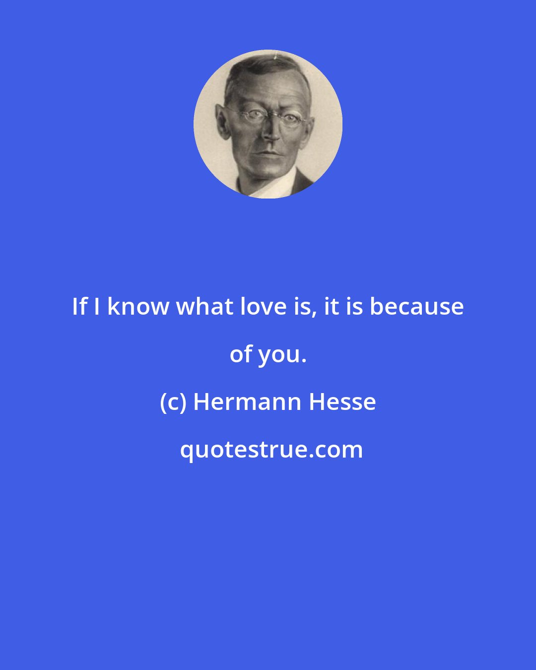 Hermann Hesse: If I know what love is, it is because of you.