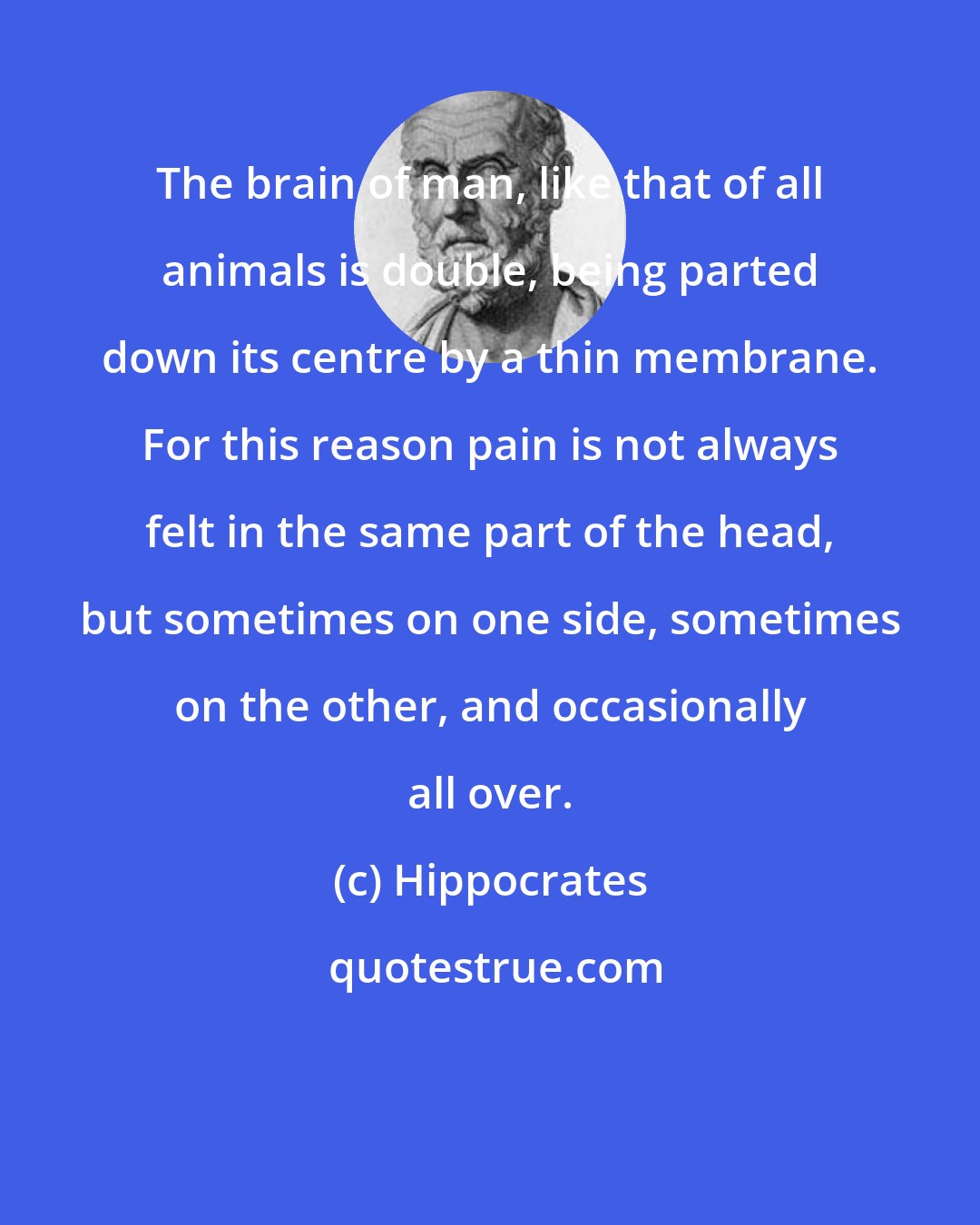 Hippocrates: The brain of man, like that of all animals is double, being parted down its centre by a thin membrane. For this reason pain is not always felt in the same part of the head, but sometimes on one side, sometimes on the other, and occasionally all over.