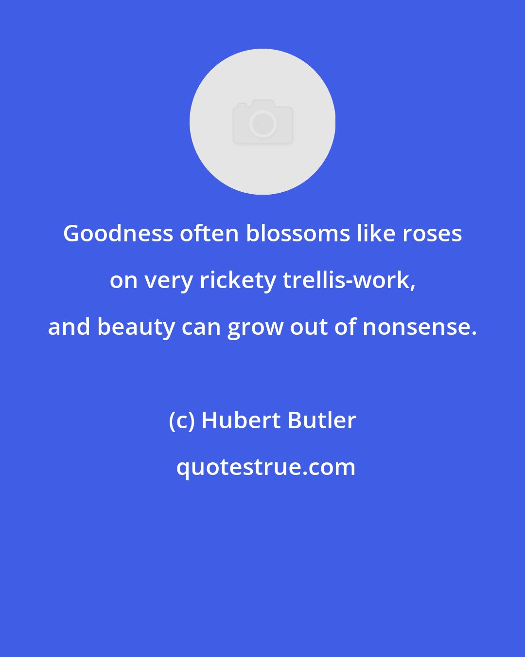 Hubert Butler: Goodness often blossoms like roses on very rickety trellis-work, and beauty can grow out of nonsense.