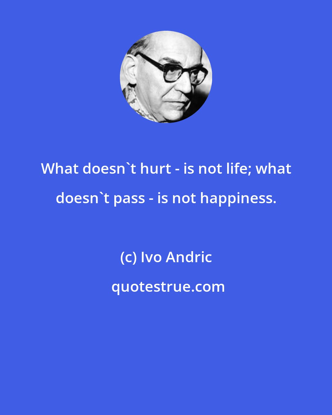 Ivo Andric: What doesn't hurt - is not life; what doesn't pass - is not happiness.