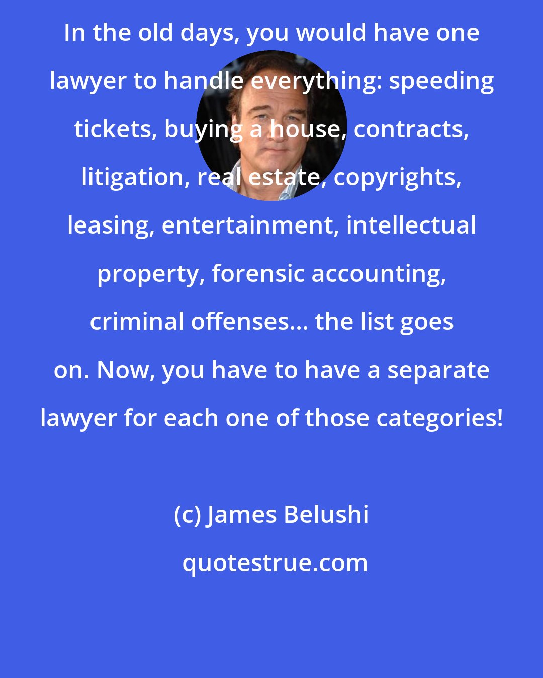 James Belushi: In the old days, you would have one lawyer to handle everything: speeding tickets, buying a house, contracts, litigation, real estate, copyrights, leasing, entertainment, intellectual property, forensic accounting, criminal offenses... the list goes on. Now, you have to have a separate lawyer for each one of those categories!