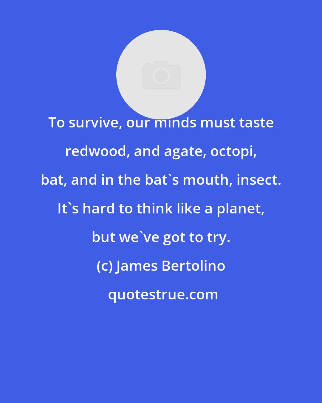 James Bertolino: To survive, our minds must taste redwood, and agate, octopi, bat, and in the bat's mouth, insect. It's hard to think like a planet, but we've got to try.