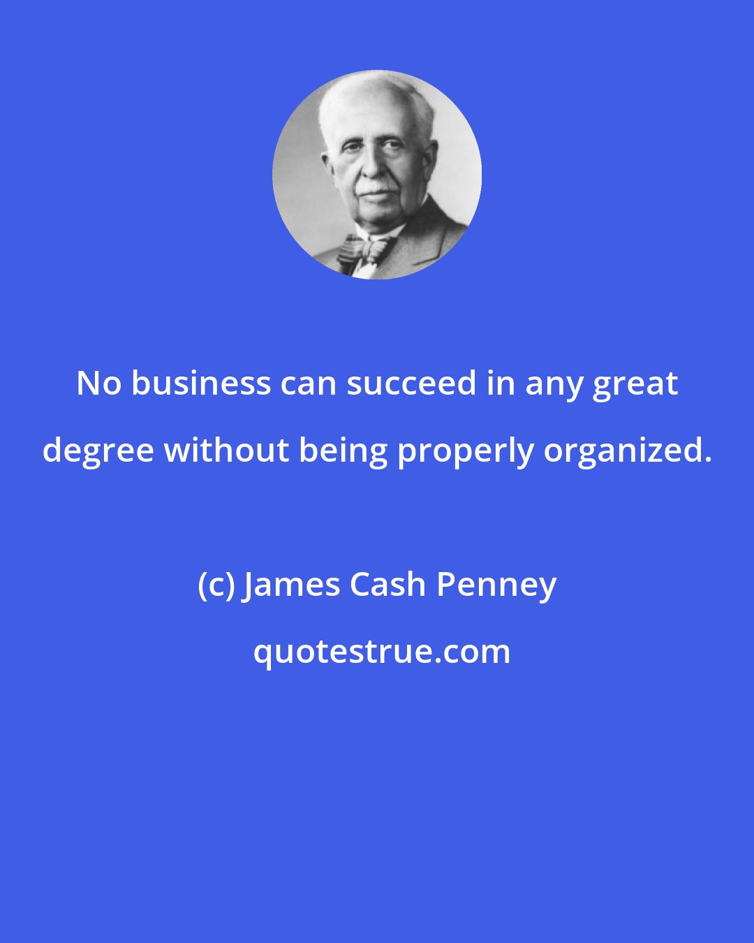 James Cash Penney: No business can succeed in any great degree without being properly organized.