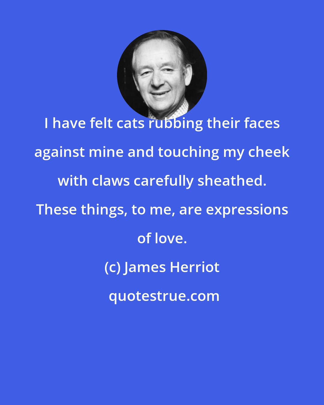 James Herriot: I have felt cats rubbing their faces against mine and touching my cheek with claws carefully sheathed. These things, to me, are expressions of love.