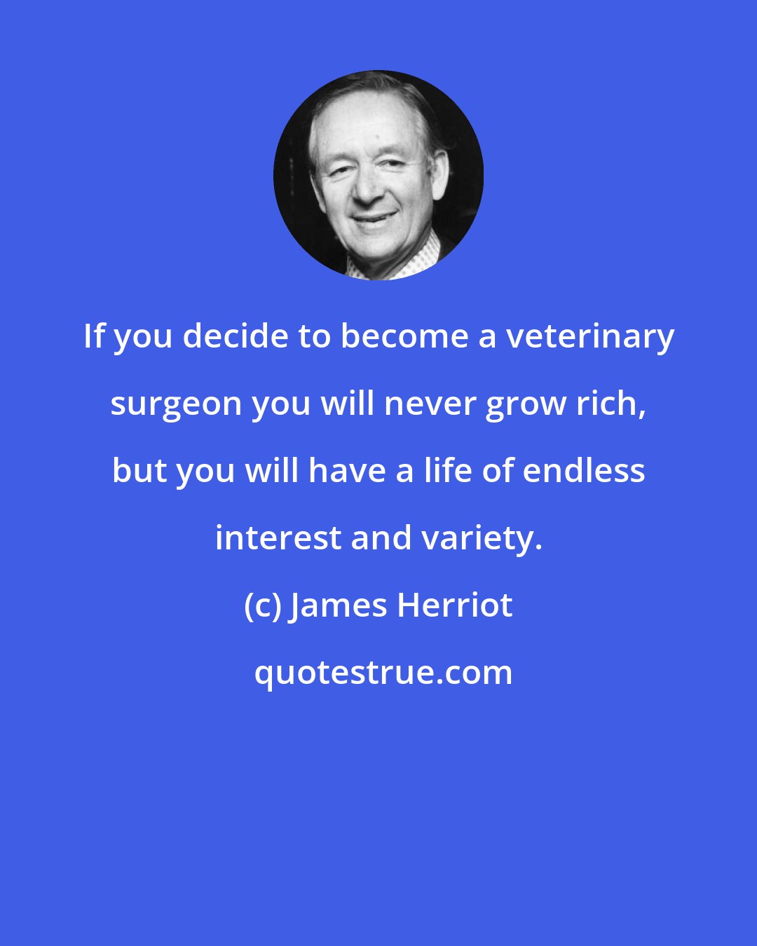 James Herriot: If you decide to become a veterinary surgeon you will never grow rich, but you will have a life of endless interest and variety.
