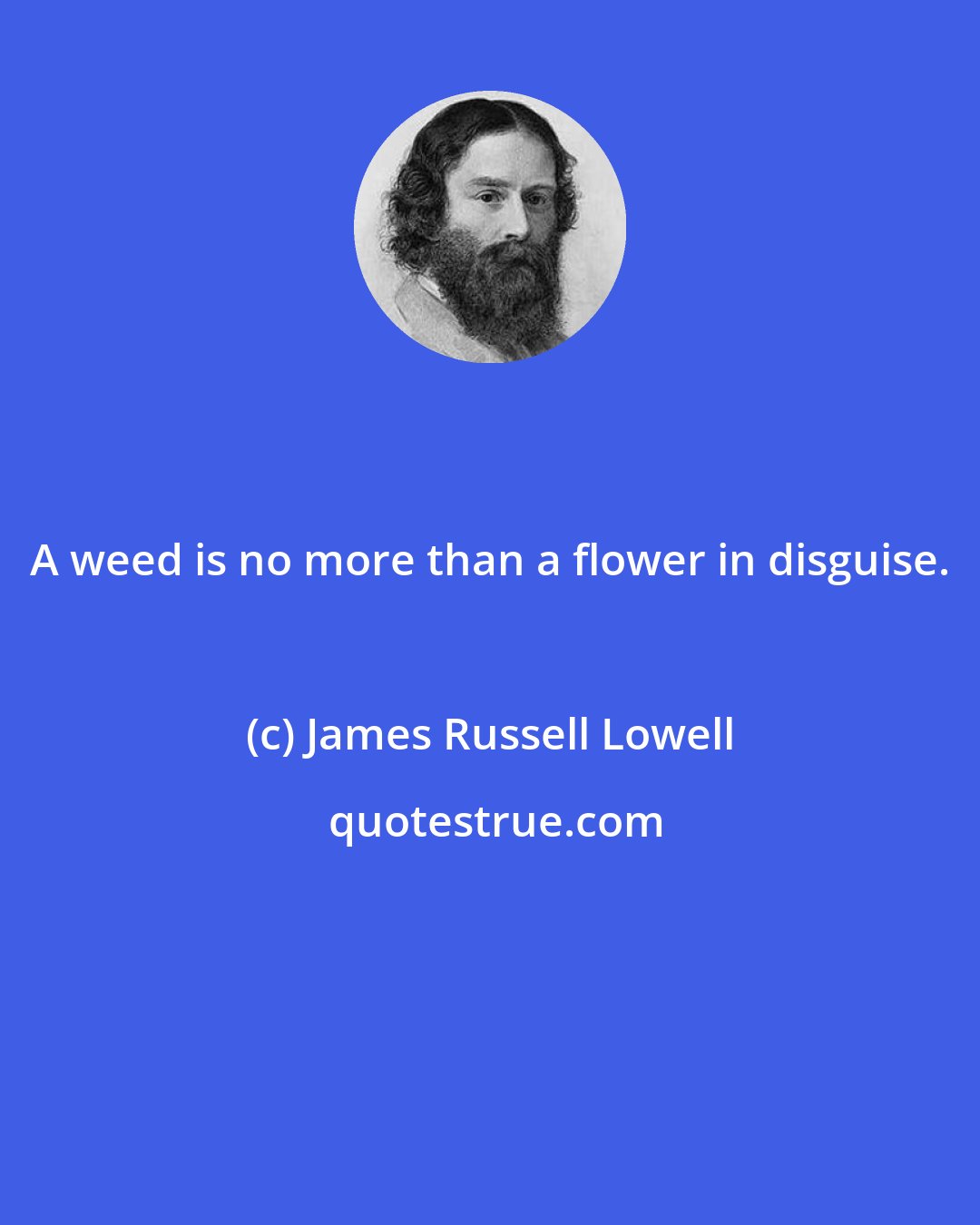James Russell Lowell: A weed is no more than a flower in disguise.