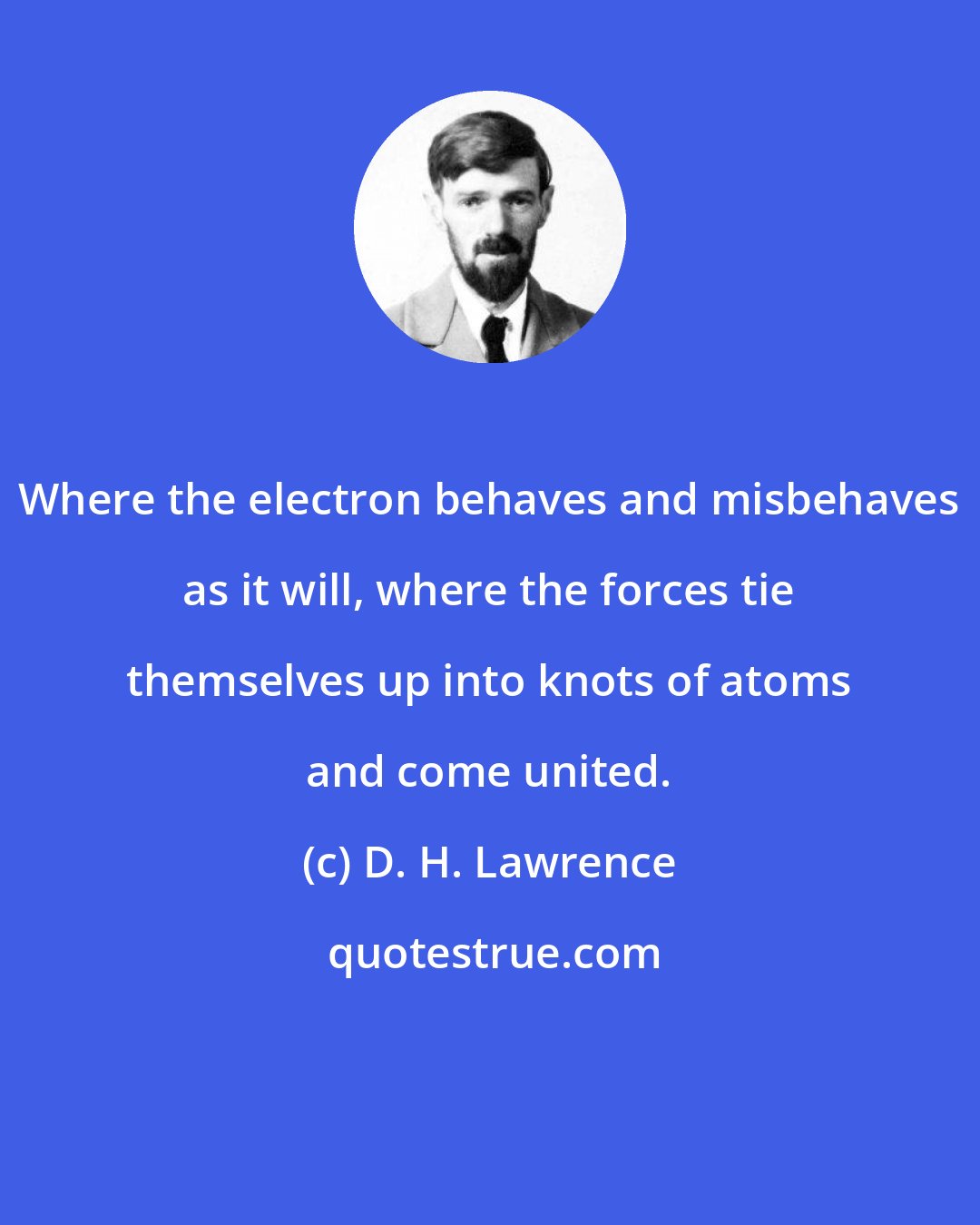 D. H. Lawrence: Where the electron behaves and misbehaves as it will, where the forces tie themselves up into knots of atoms and come united.