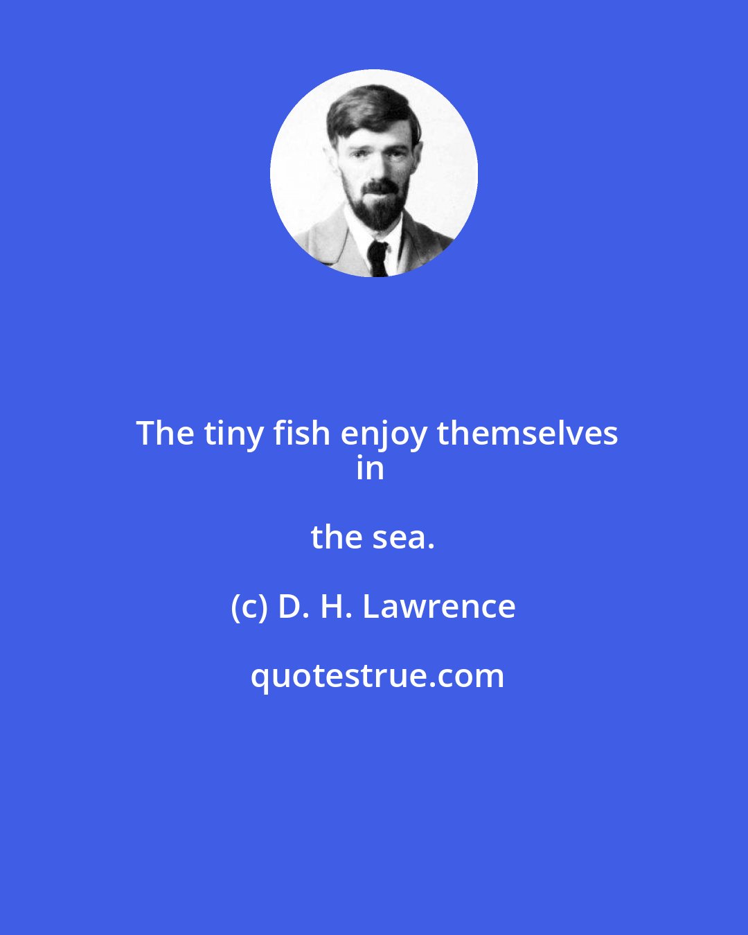D. H. Lawrence: The tiny fish enjoy themselves
in the sea.