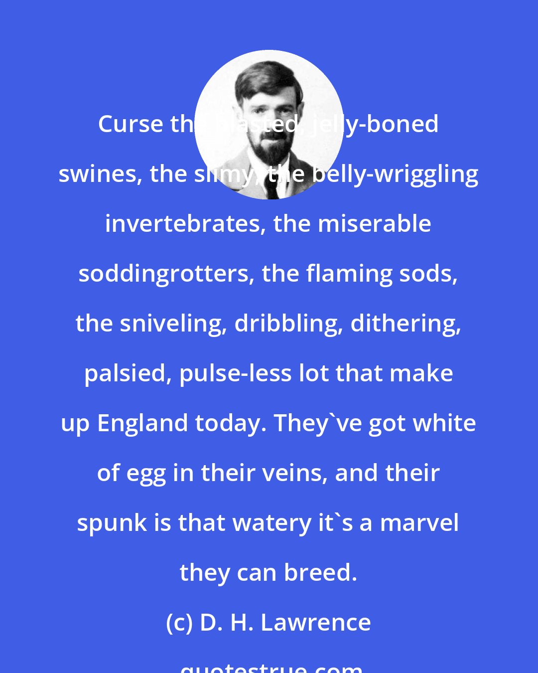 D. H. Lawrence: Curse the blasted, jelly-boned swines, the slimy, the belly-wriggling invertebrates, the miserable soddingrotters, the flaming sods, the sniveling, dribbling, dithering, palsied, pulse-less lot that make up England today. They've got white of egg in their veins, and their spunk is that watery it's a marvel they can breed.