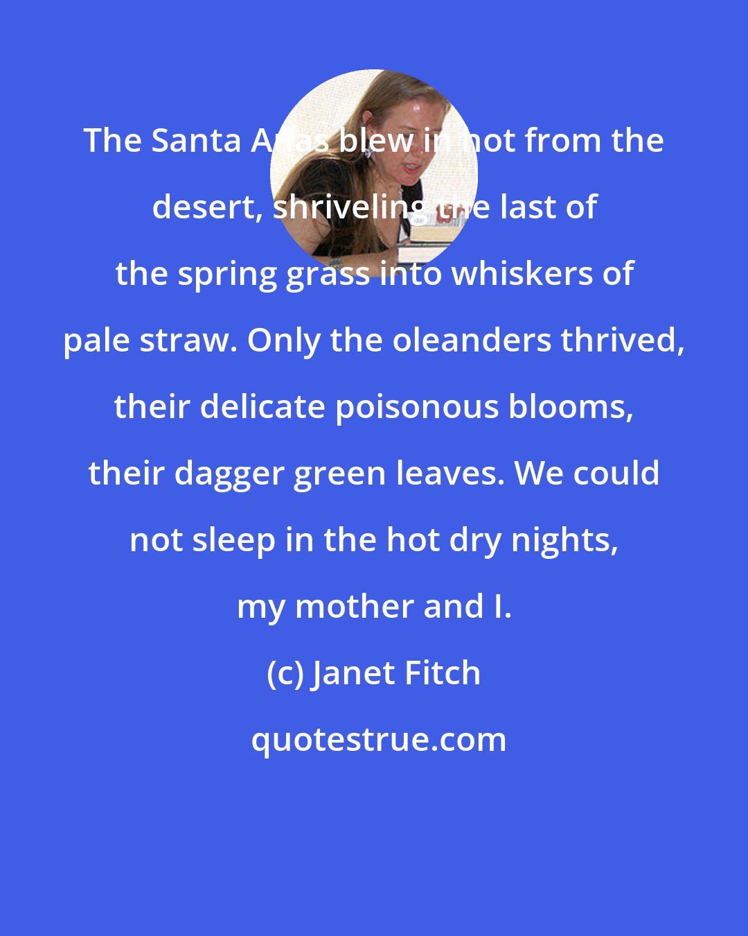 Janet Fitch: The Santa Anas blew in hot from the desert, shriveling the last of the spring grass into whiskers of pale straw. Only the oleanders thrived, their delicate poisonous blooms, their dagger green leaves. We could not sleep in the hot dry nights, my mother and I.
