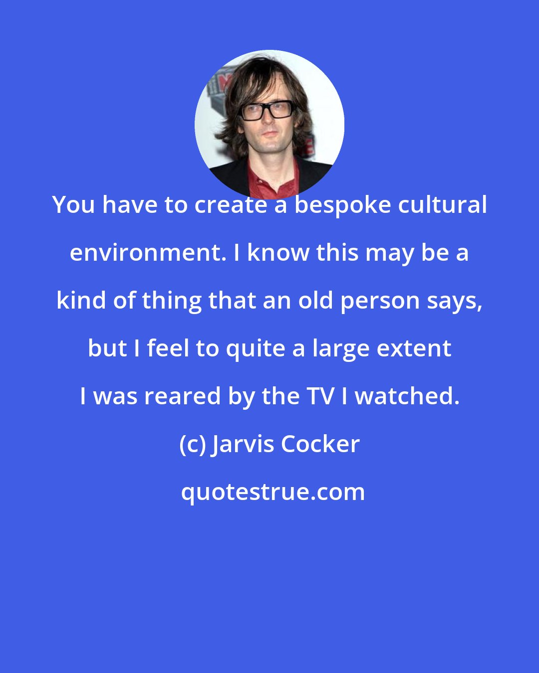 Jarvis Cocker: You have to create a bespoke cultural environment. I know this may be a kind of thing that an old person says, but I feel to quite a large extent I was reared by the TV I watched.
