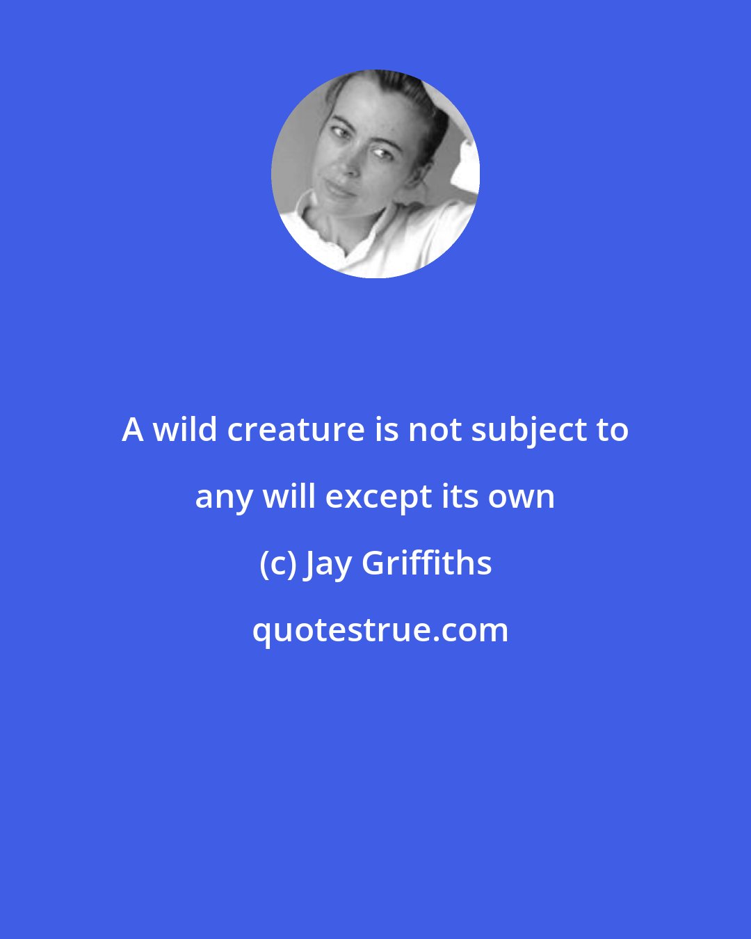 Jay Griffiths: A wild creature is not subject to any will except its own