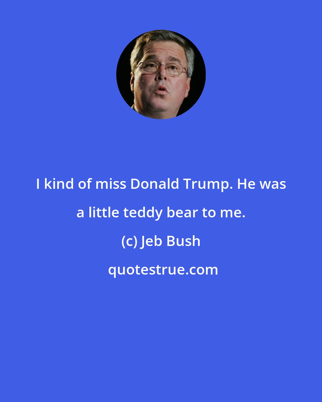 Jeb Bush: I kind of miss Donald Trump. He was a little teddy bear to me.