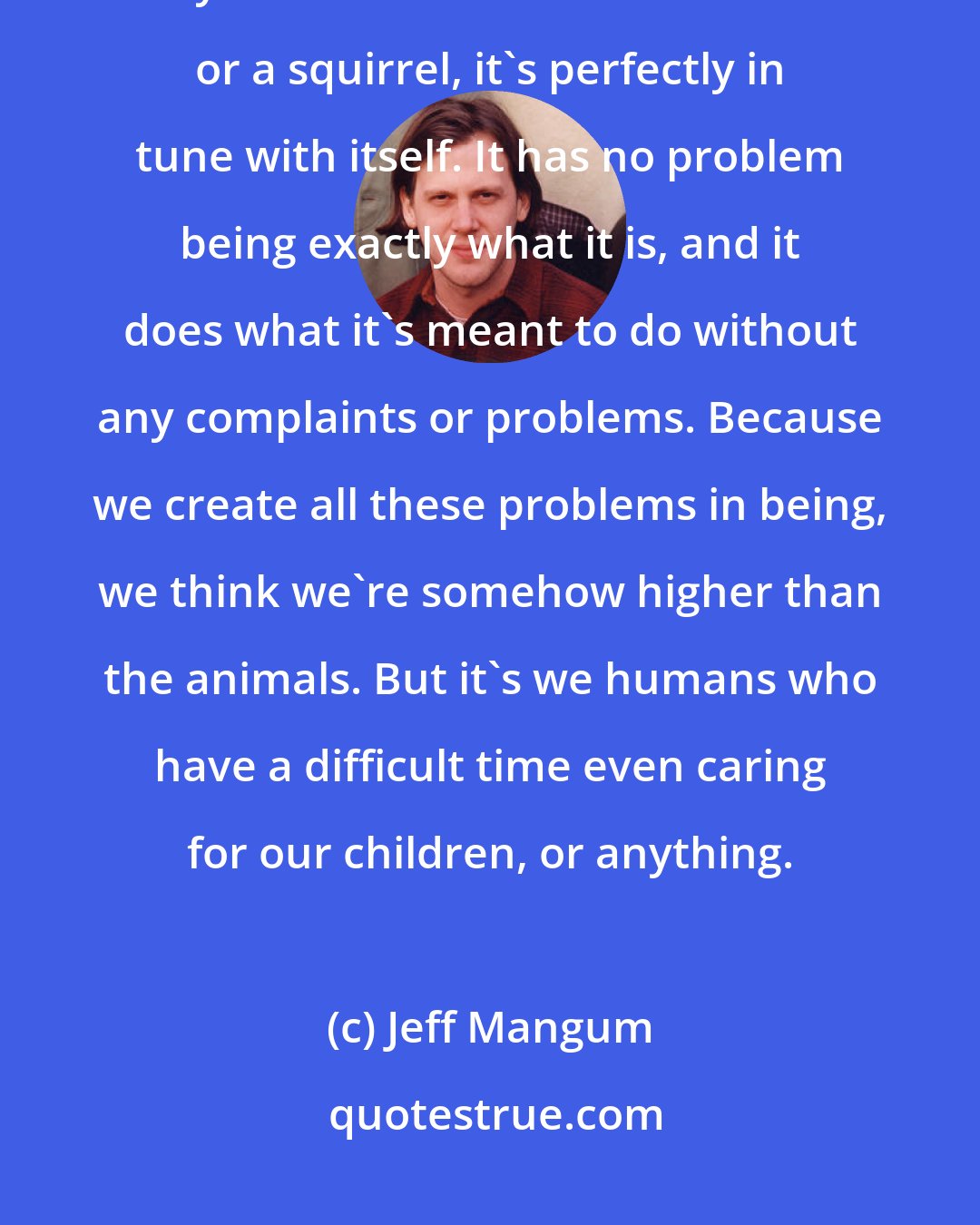 Jeff Mangum: We consider the animals to be lower, and to me, that makes no sense at all. If you look at a tree or a mushroom or a squirrel, it's perfectly in tune with itself. It has no problem being exactly what it is, and it does what it's meant to do without any complaints or problems. Because we create all these problems in being, we think we're somehow higher than the animals. But it's we humans who have a difficult time even caring for our children, or anything.