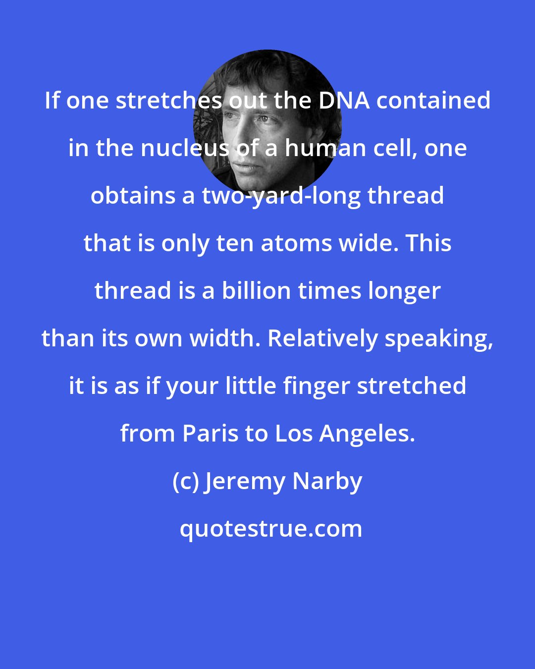 Jeremy Narby: If one stretches out the DNA contained in the nucleus of a human cell, one obtains a two-yard-long thread that is only ten atoms wide. This thread is a billion times longer than its own width. Relatively speaking, it is as if your little finger stretched from Paris to Los Angeles.