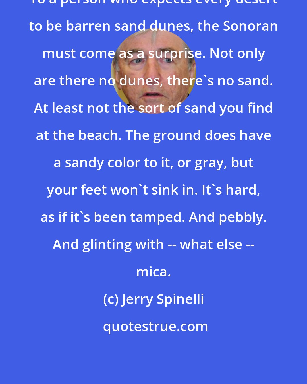 Jerry Spinelli: To a person who expects every desert to be barren sand dunes, the Sonoran must come as a surprise. Not only are there no dunes, there's no sand. At least not the sort of sand you find at the beach. The ground does have a sandy color to it, or gray, but your feet won't sink in. It's hard, as if it's been tamped. And pebbly. And glinting with -- what else -- mica.