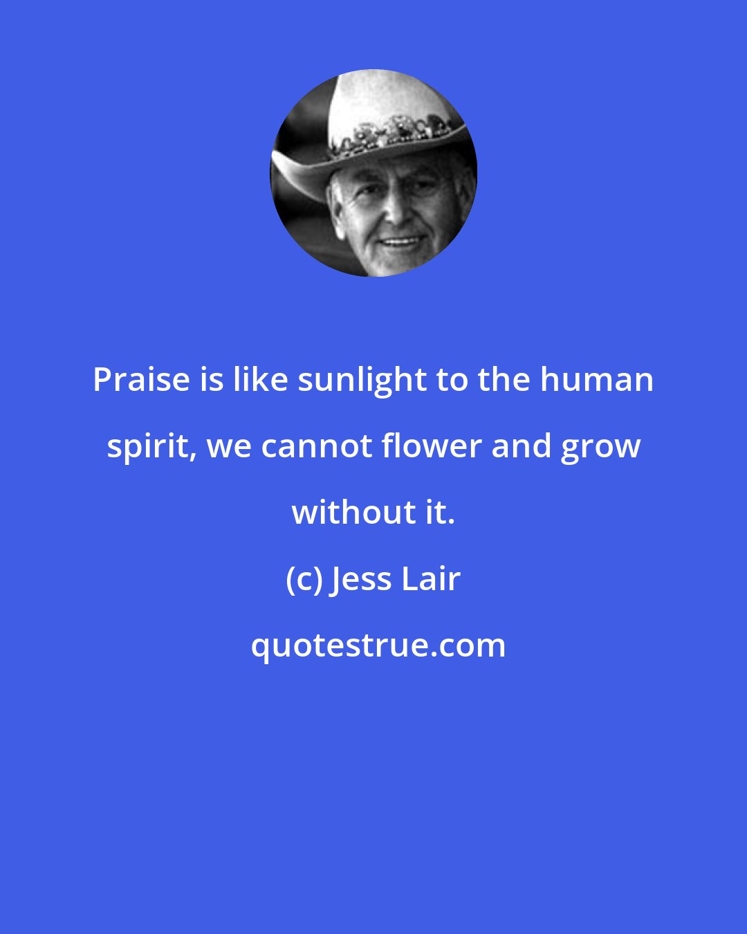 Jess Lair: Praise is like sunlight to the human spirit, we cannot flower and grow without it.