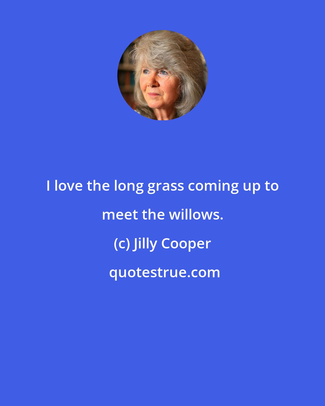 Jilly Cooper: I love the long grass coming up to meet the willows.