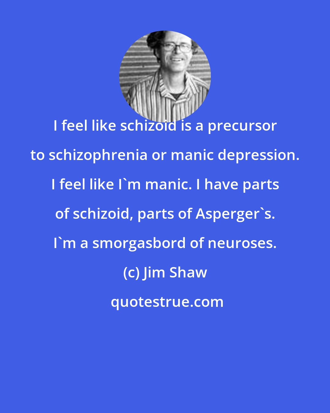 Jim Shaw: I feel like schizoid is a precursor to schizophrenia or manic depression. I feel like I'm manic. I have parts of schizoid, parts of Asperger's. I'm a smorgasbord of neuroses.