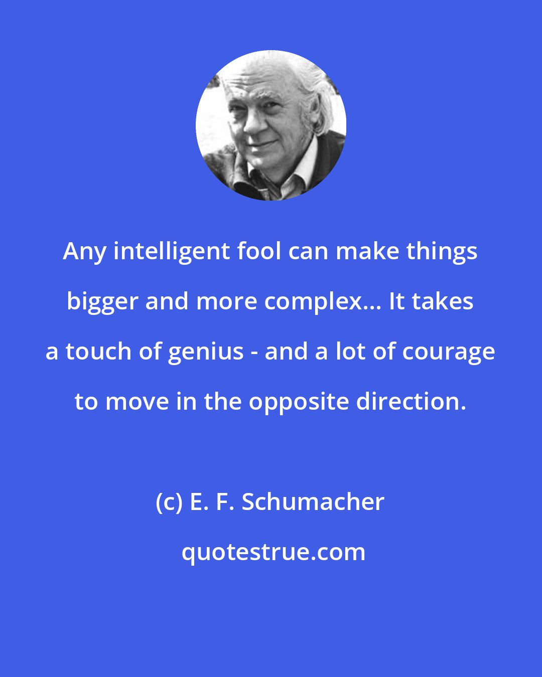 E. F. Schumacher: Any intelligent fool can make things bigger and more complex... It takes a touch of genius - and a lot of courage to move in the opposite direction.