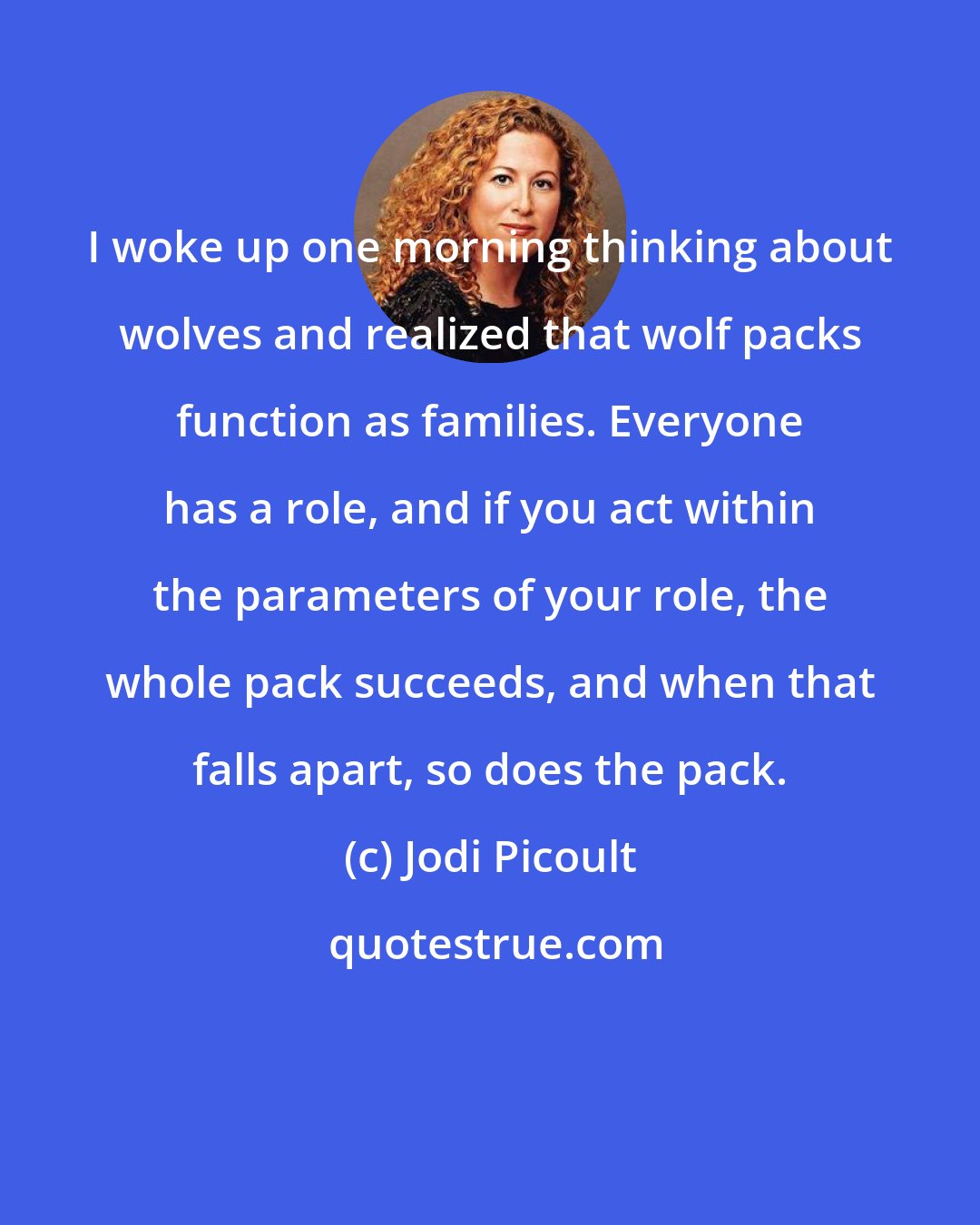 Jodi Picoult: I woke up one morning thinking about wolves and realized that wolf packs function as families. Everyone has a role, and if you act within the parameters of your role, the whole pack succeeds, and when that falls apart, so does the pack.