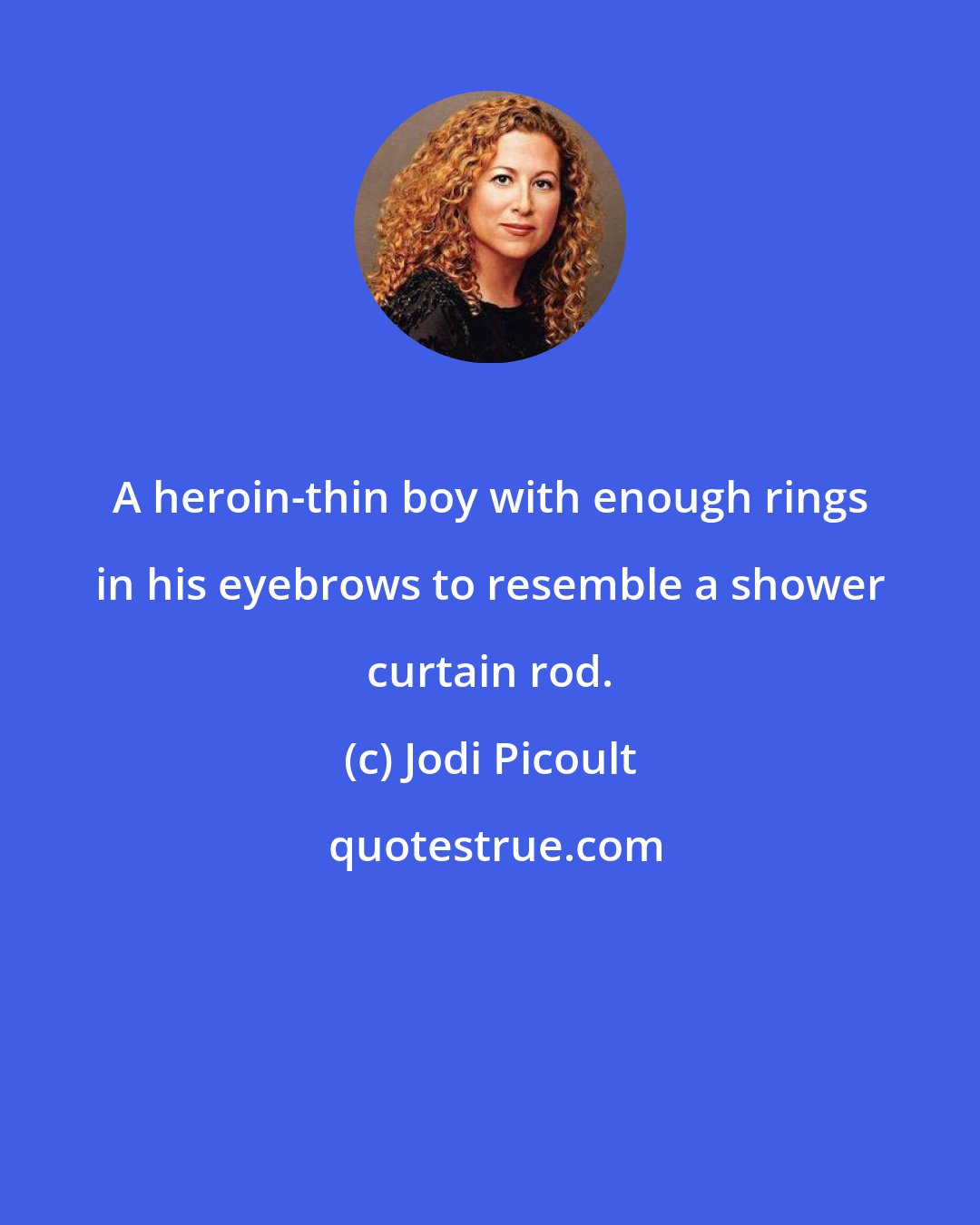 Jodi Picoult: A heroin-thin boy with enough rings in his eyebrows to resemble a shower curtain rod.