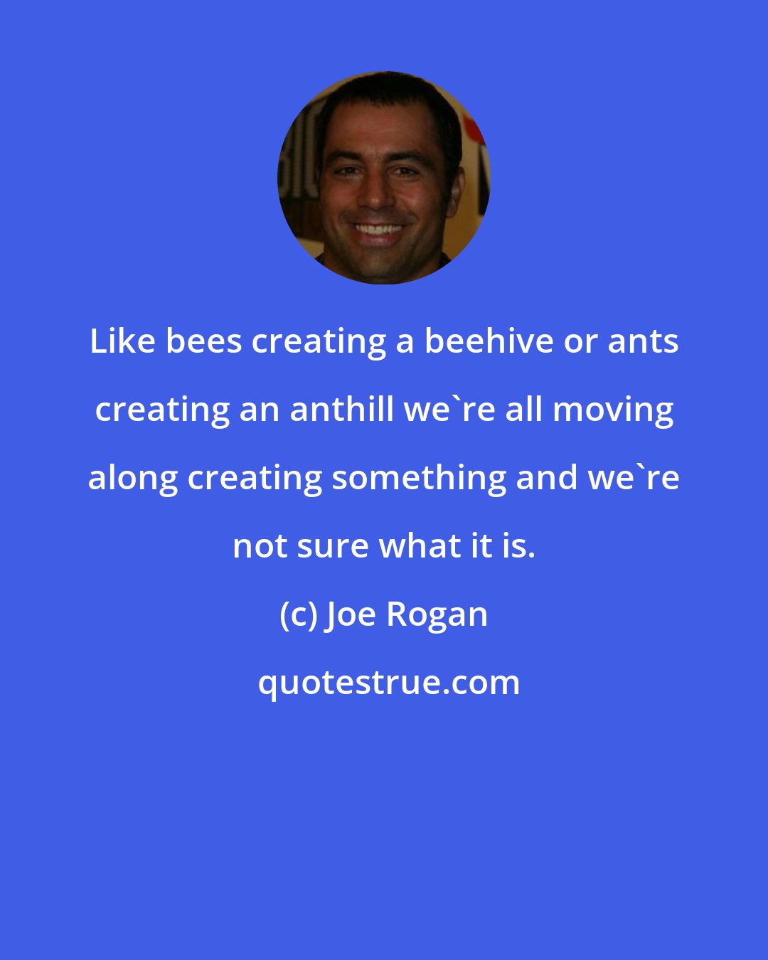 Joe Rogan: Like bees creating a beehive or ants creating an anthill we're all moving along creating something and we're not sure what it is.