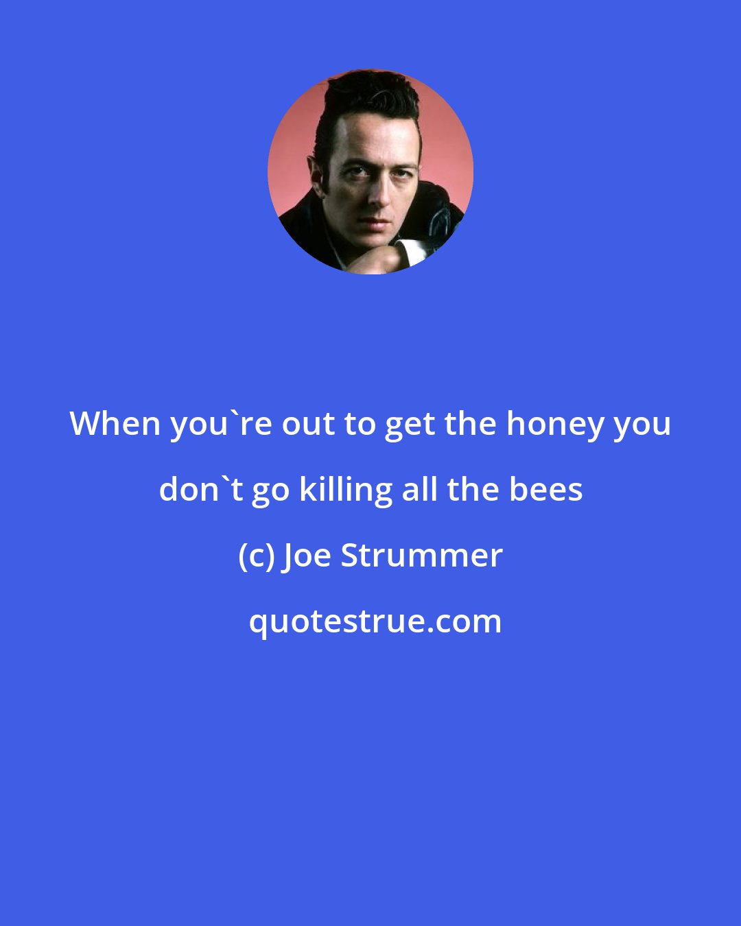 Joe Strummer: When you're out to get the honey you don't go killing all the bees