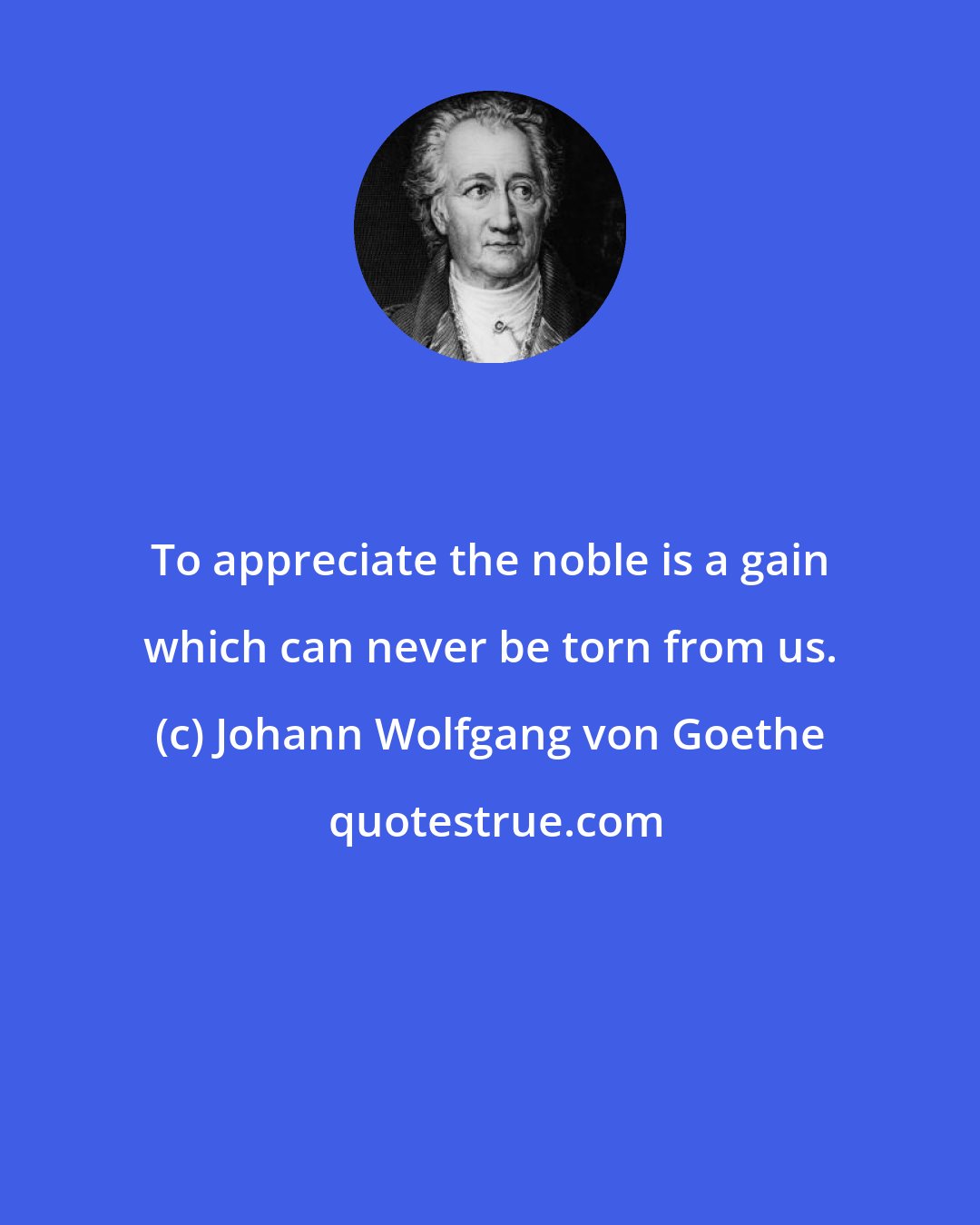Johann Wolfgang von Goethe: To appreciate the noble is a gain which can never be torn from us.