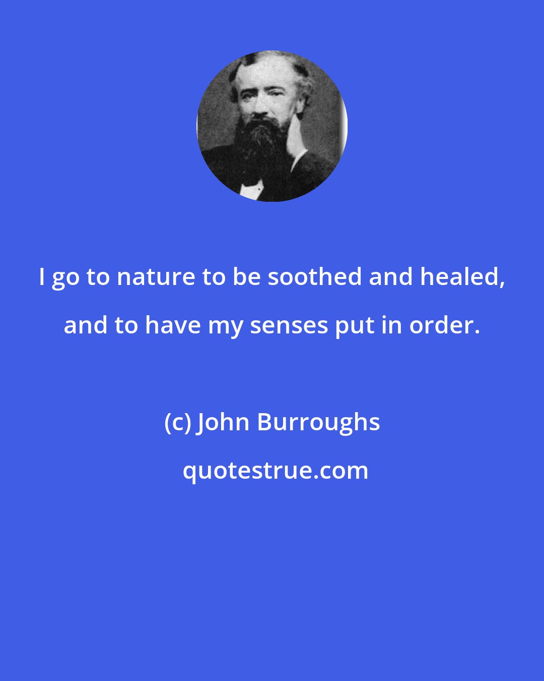 John Burroughs: I go to nature to be soothed and healed, and to have my senses put in order.