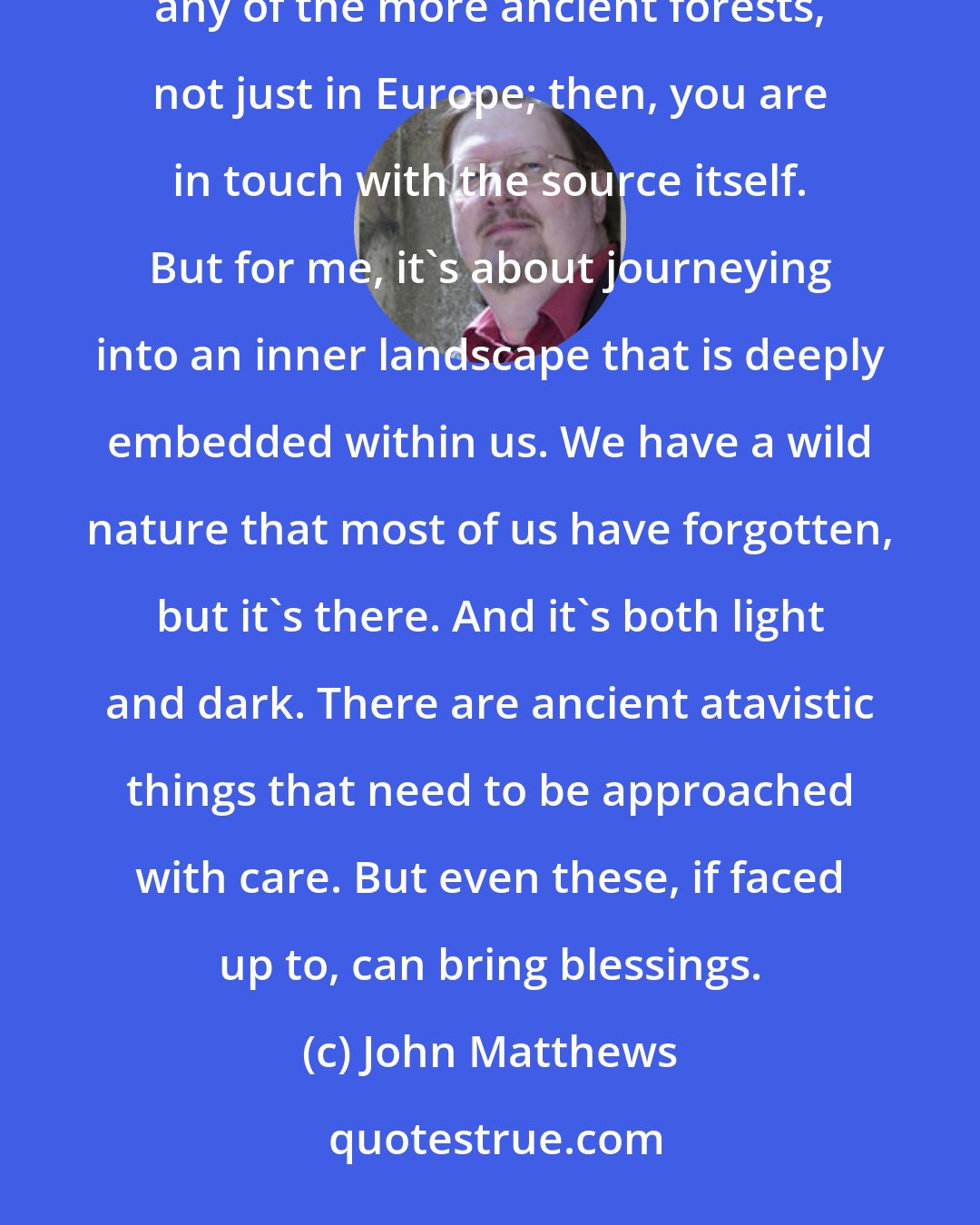 John Matthews: The wildwood is everywhere. It's inside us. It's outside us. And, of course, if you happen to be near any of the more ancient forests, not just in Europe; then, you are in touch with the source itself. But for me, it's about journeying into an inner landscape that is deeply embedded within us. We have a wild nature that most of us have forgotten, but it's there. And it's both light and dark. There are ancient atavistic things that need to be approached with care. But even these, if faced up to, can bring blessings.