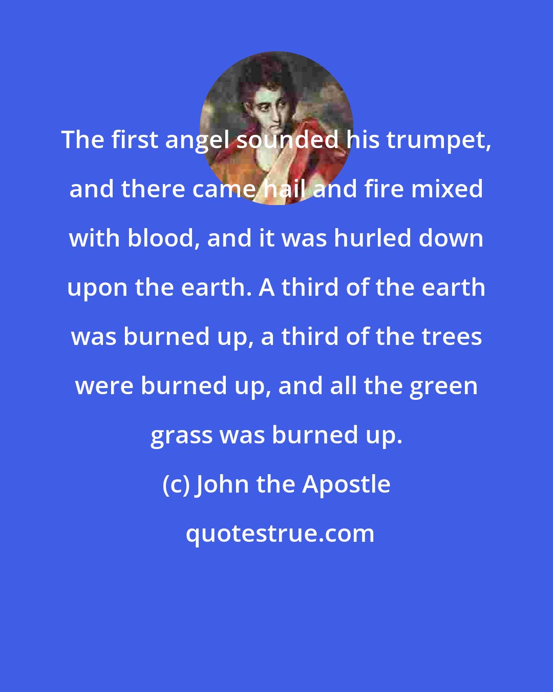 John the Apostle: The first angel sounded his trumpet, and there came hail and fire mixed with blood, and it was hurled down upon the earth. A third of the earth was burned up, a third of the trees were burned up, and all the green grass was burned up.