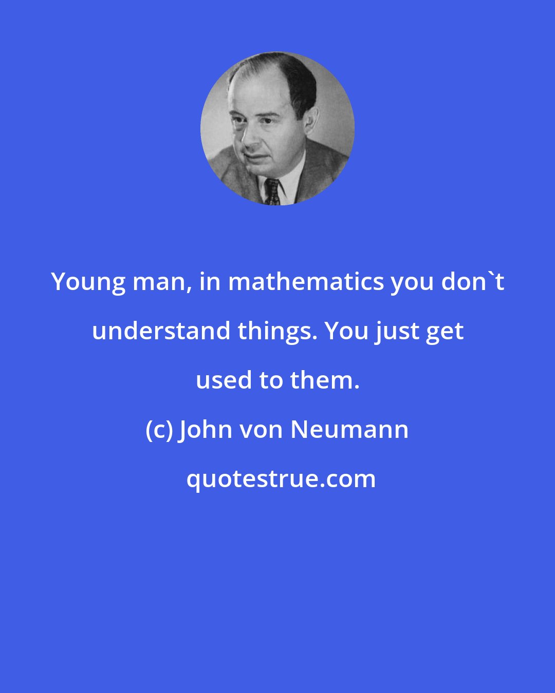 John von Neumann: Young man, in mathematics you don't understand things. You just get used to them.
