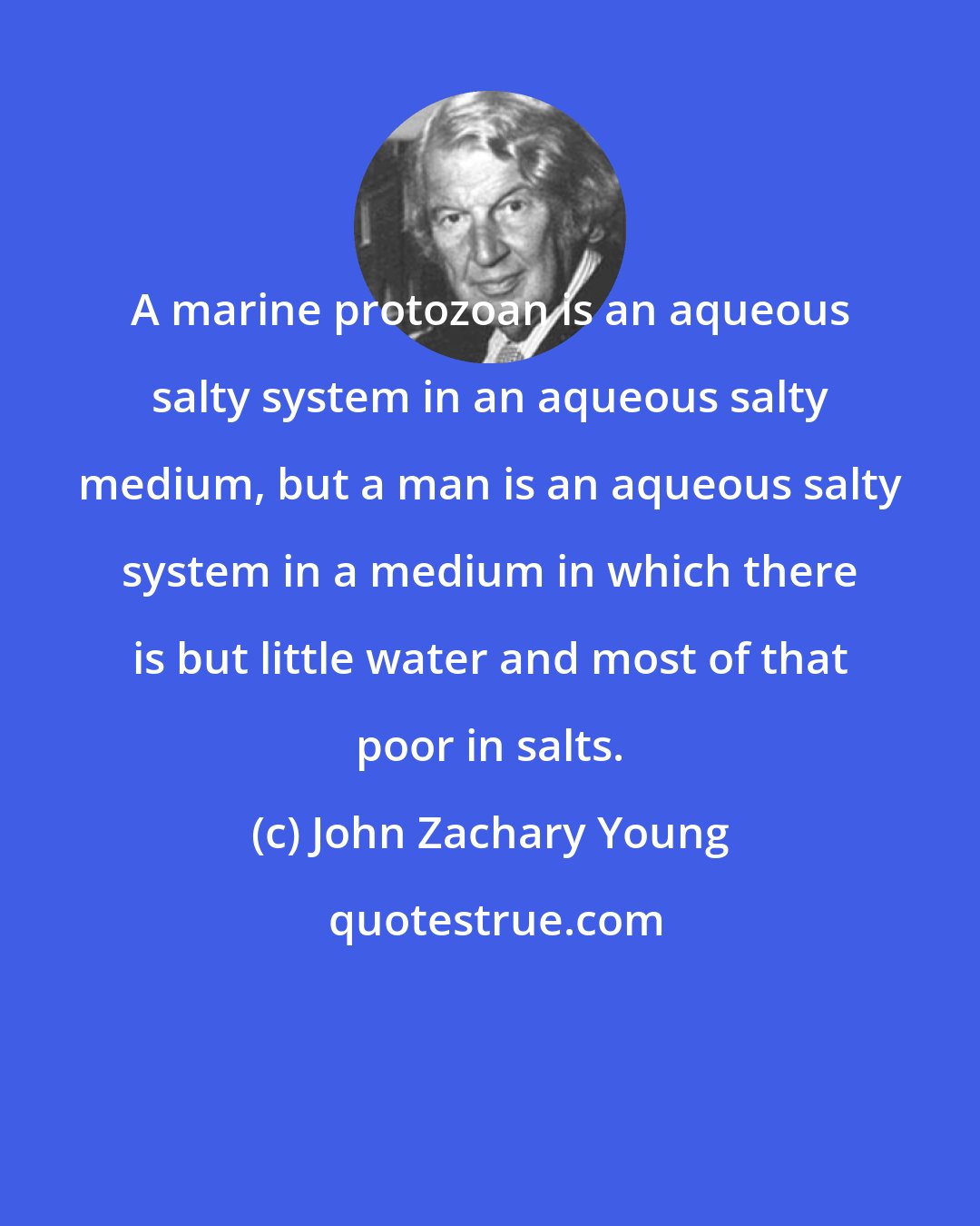 John Zachary Young: A marine protozoan is an aqueous salty system in an aqueous salty medium, but a man is an aqueous salty system in a medium in which there is but little water and most of that poor in salts.