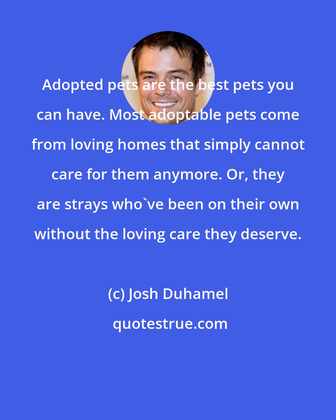 Josh Duhamel: Adopted pets are the best pets you can have. Most adoptable pets come from loving homes that simply cannot care for them anymore. Or, they are strays who've been on their own without the loving care they deserve.