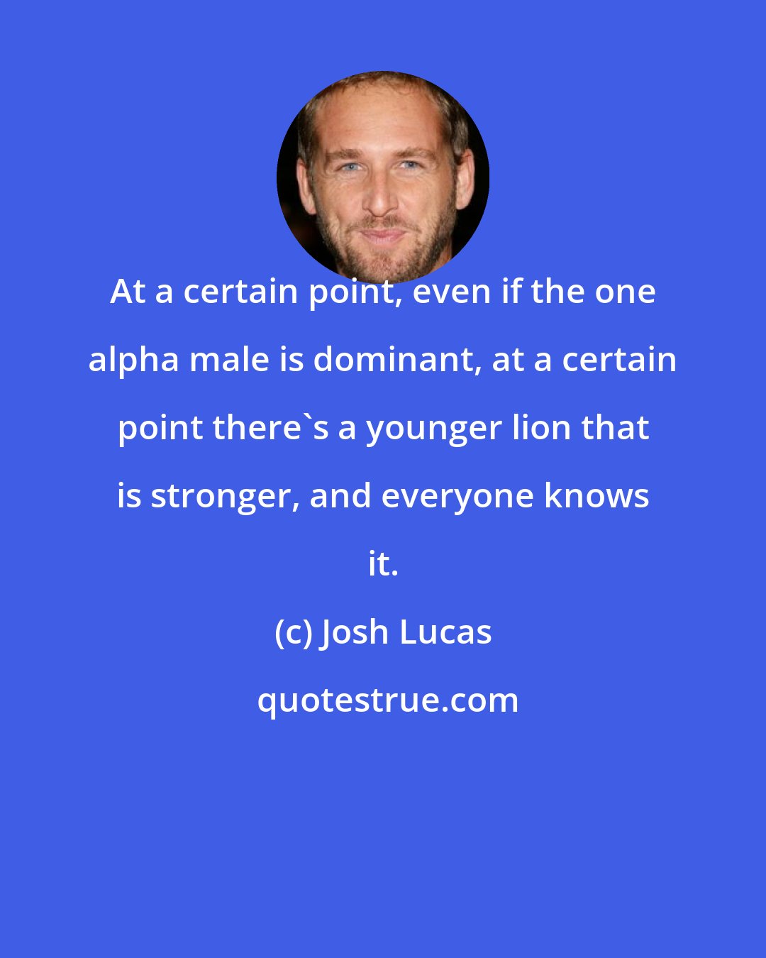 Josh Lucas: At a certain point, even if the one alpha male is dominant, at a certain point there's a younger lion that is stronger, and everyone knows it.