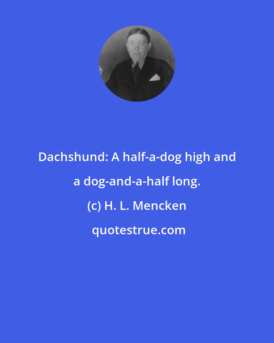 H. L. Mencken: Dachshund: A half-a-dog high and a dog-and-a-half long.