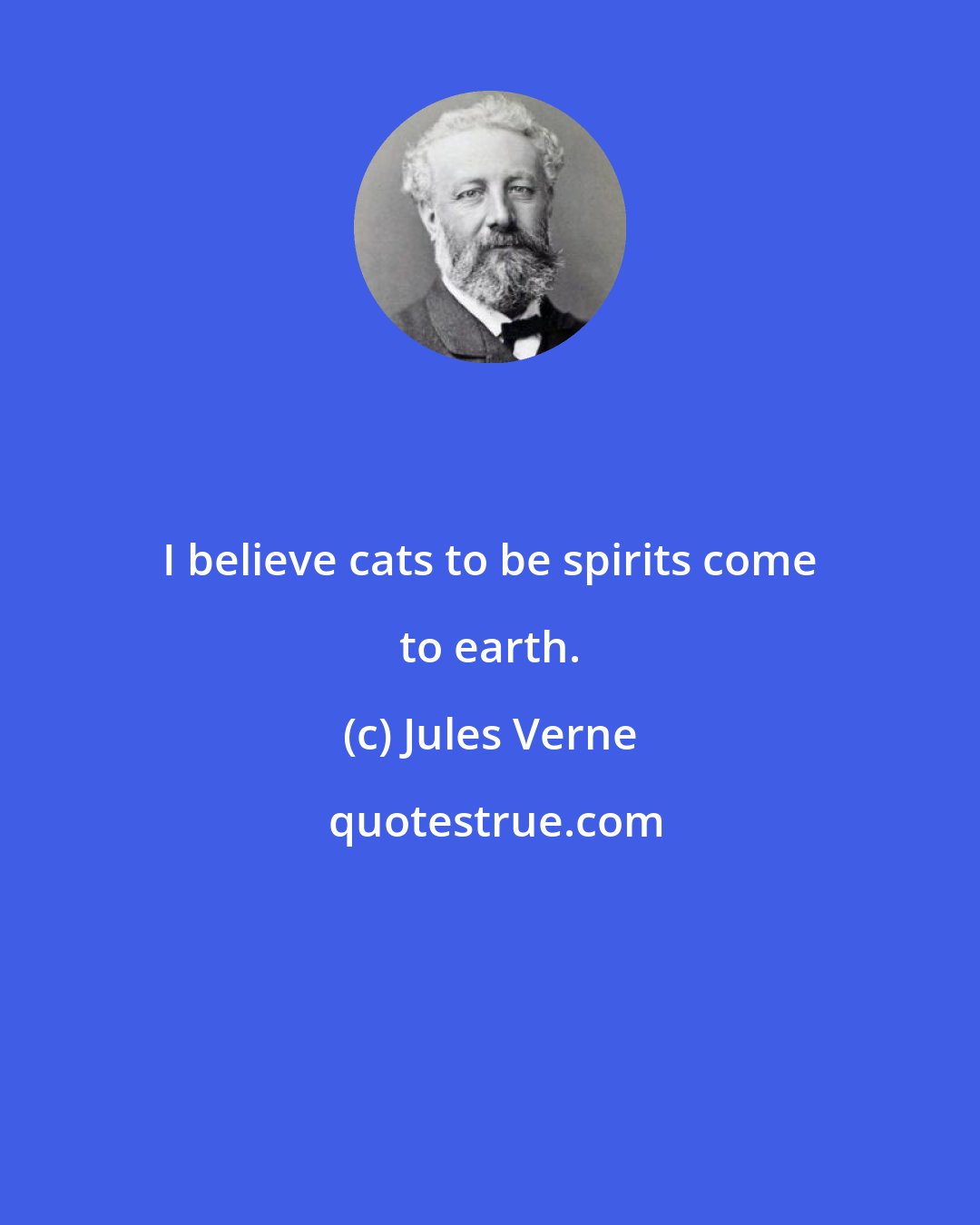 Jules Verne: I believe cats to be spirits come to earth.