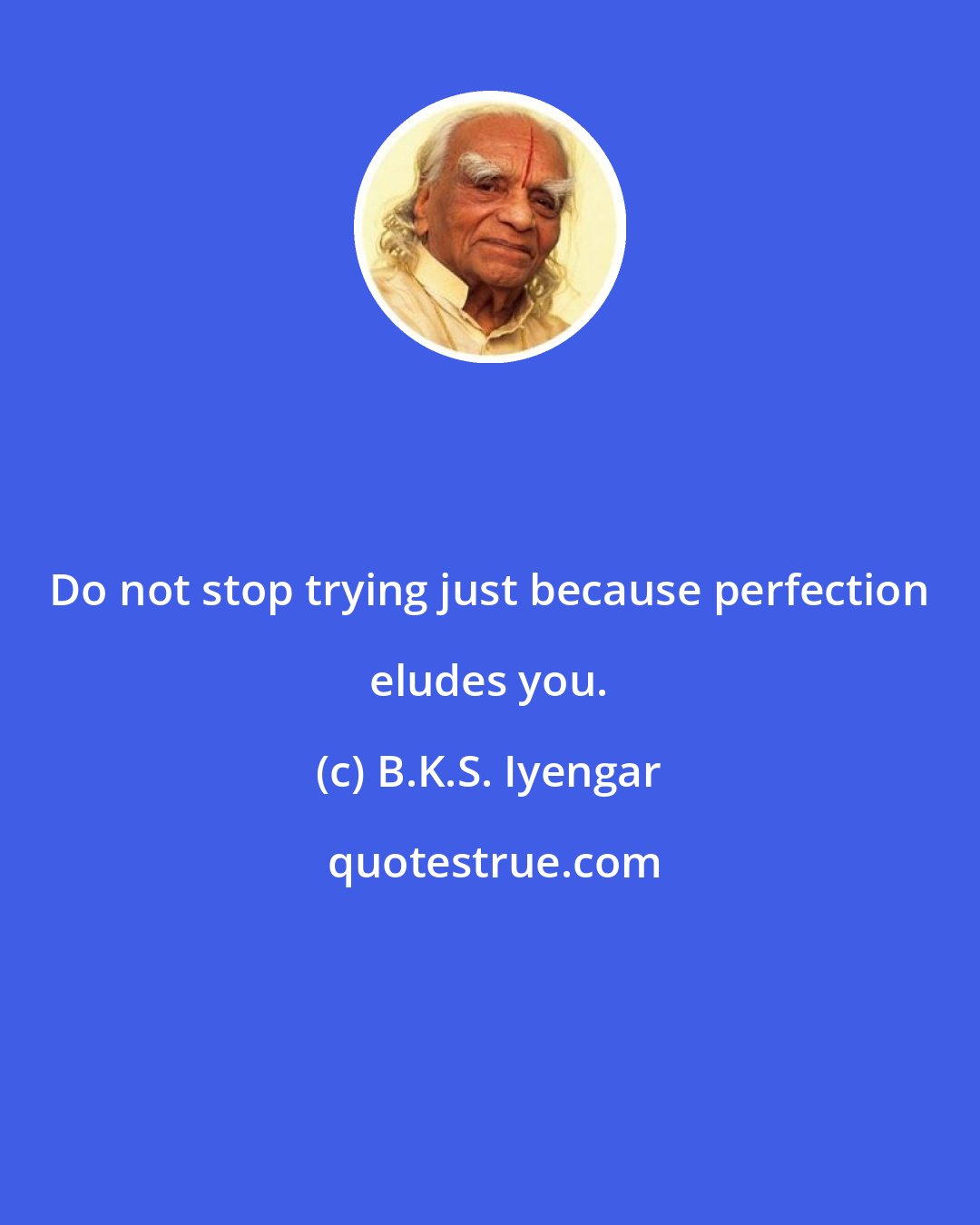 B.K.S. Iyengar: Do not stop trying just because perfection eludes you.