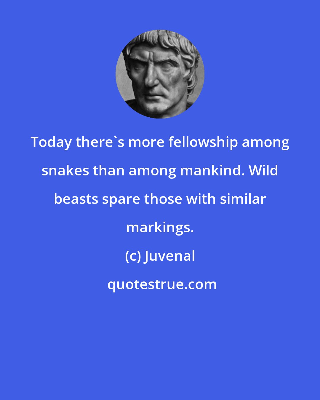 Juvenal: Today there's more fellowship among snakes than among mankind. Wild beasts spare those with similar markings.