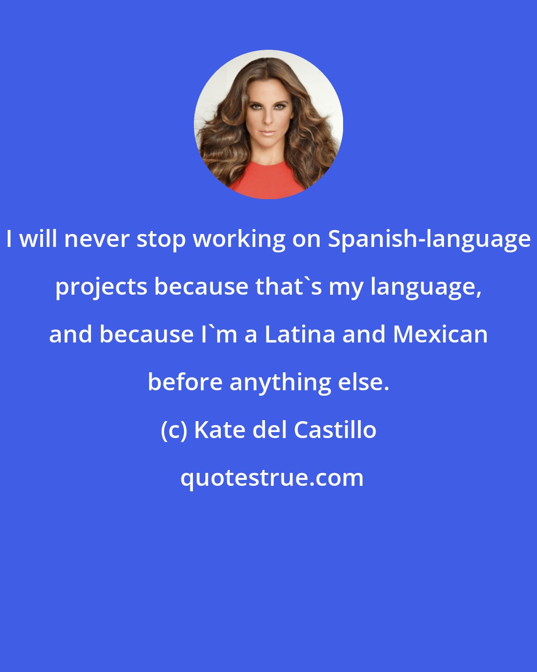 Kate del Castillo: I will never stop working on Spanish-language projects because that's my language, and because I'm a Latina and Mexican before anything else.