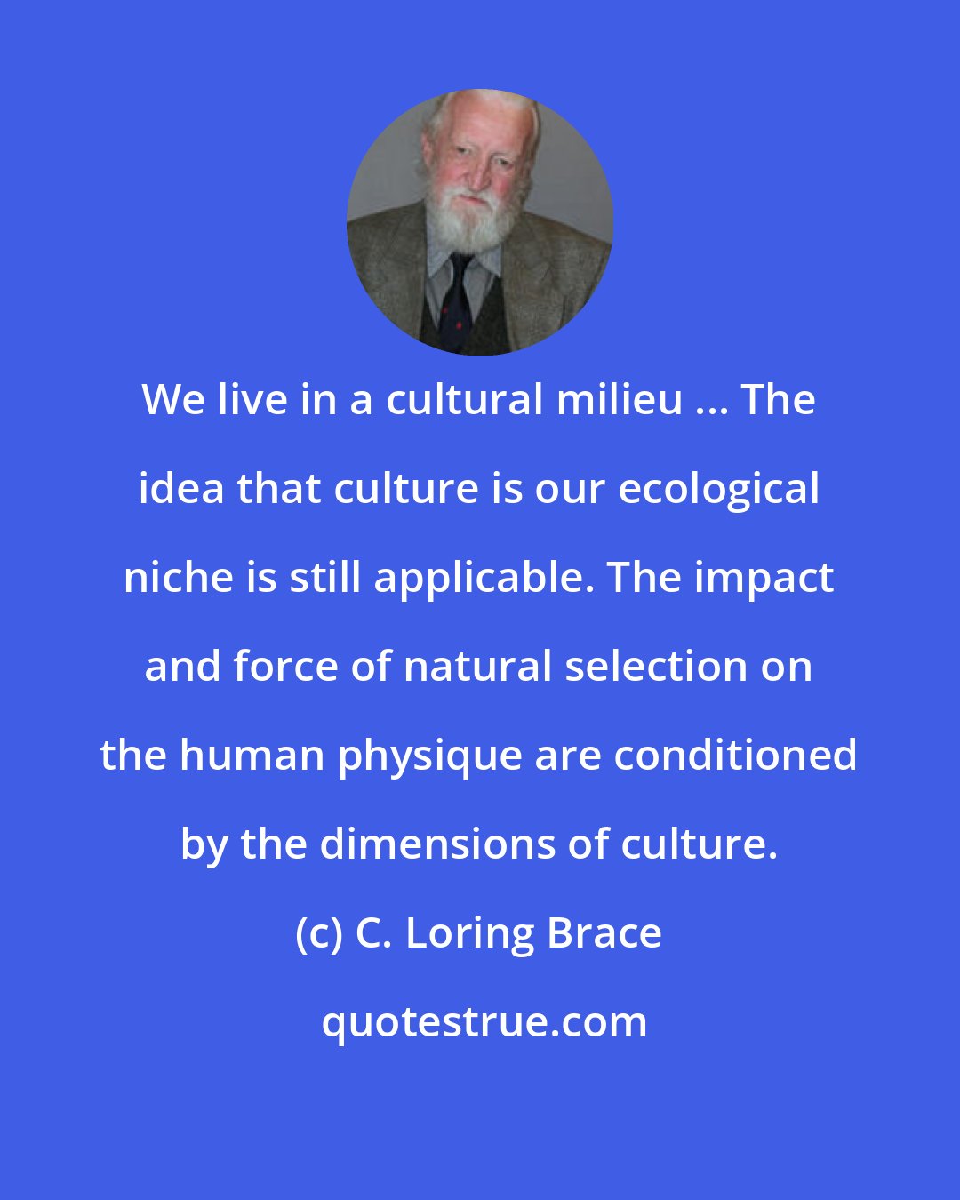 C. Loring Brace: We live in a cultural milieu ... The idea that culture is our ecological niche is still applicable. The impact and force of natural selection on the human physique are conditioned by the dimensions of culture.