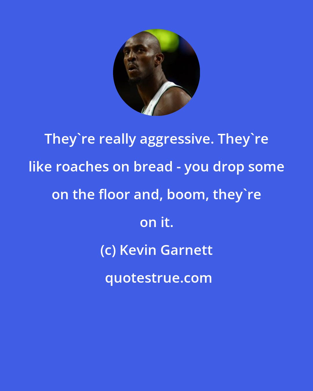 Kevin Garnett: They're really aggressive. They're like roaches on bread - you drop some on the floor and, boom, they're on it.