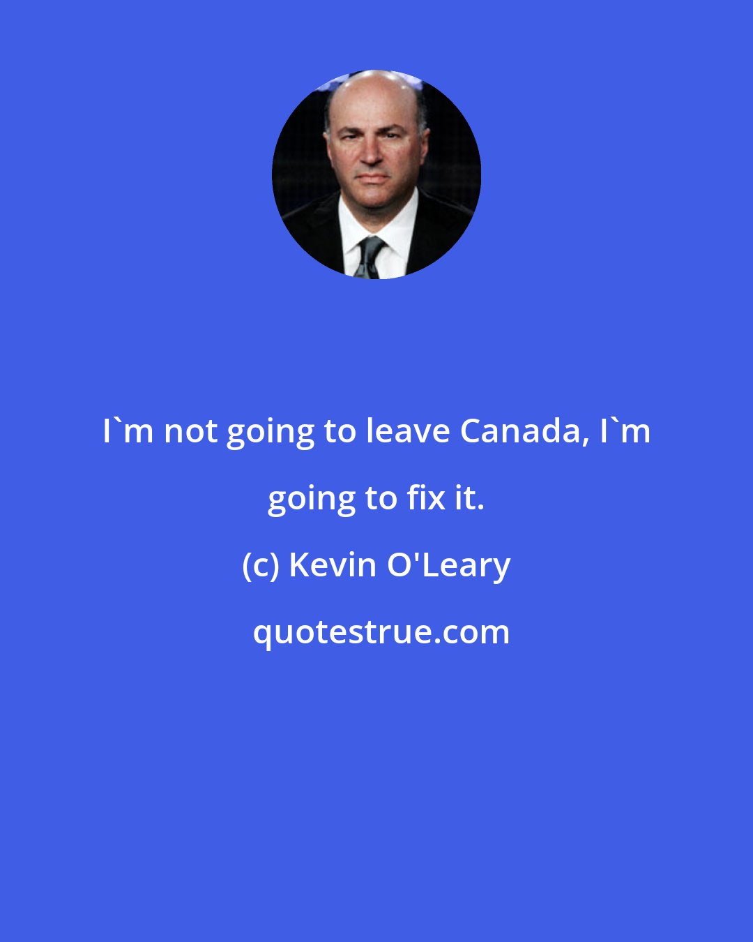 Kevin O'Leary: I'm not going to leave Canada, I'm going to fix it.