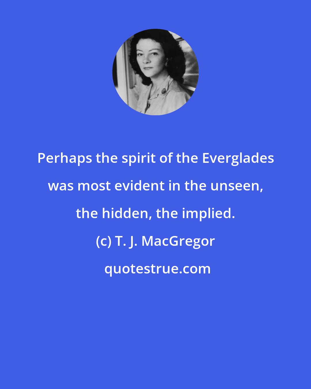 T. J. MacGregor: Perhaps the spirit of the Everglades was most evident in the unseen, the hidden, the implied.