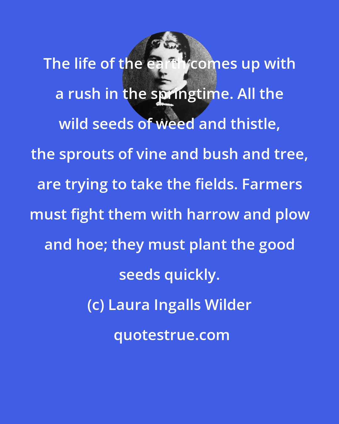 Laura Ingalls Wilder: The life of the earth comes up with a rush in the springtime. All the wild seeds of weed and thistle, the sprouts of vine and bush and tree, are trying to take the fields. Farmers must fight them with harrow and plow and hoe; they must plant the good seeds quickly.