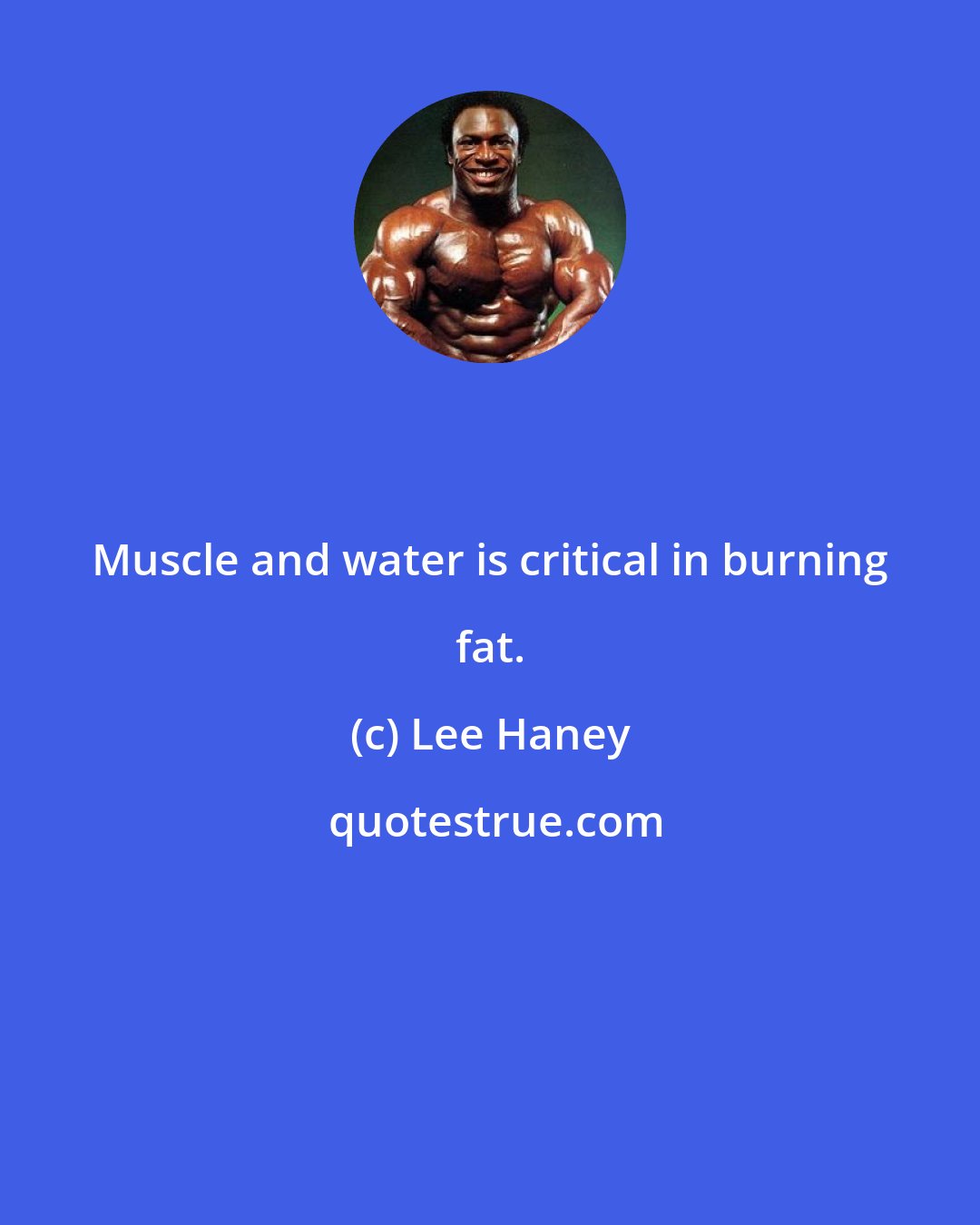Lee Haney: Muscle and water is critical in burning fat.