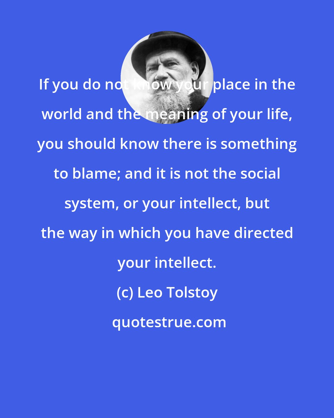 Leo Tolstoy: If you do not know your place in the world and the meaning of your life, you should know there is something to blame; and it is not the social system, or your intellect, but the way in which you have directed your intellect.